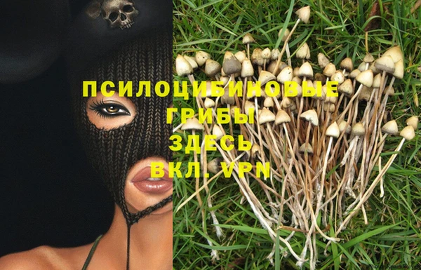 2c-b Зерноград
